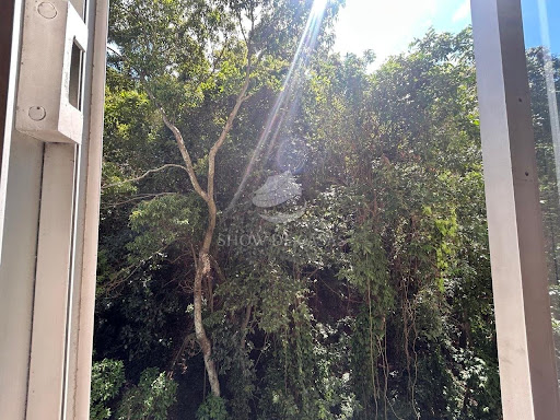 photos - 11