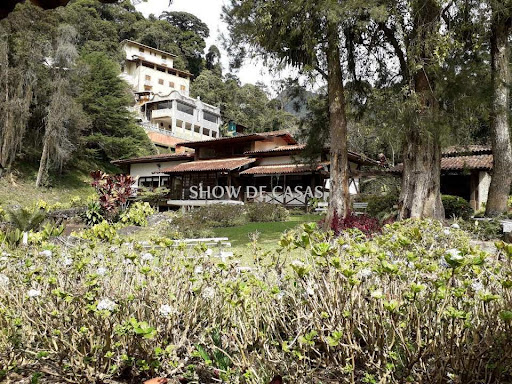 photos - 2
