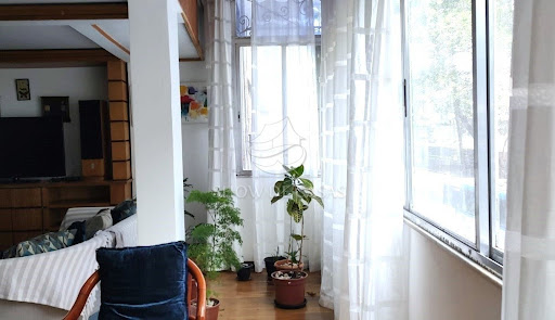 photos - 3