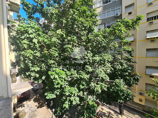 photos - 14