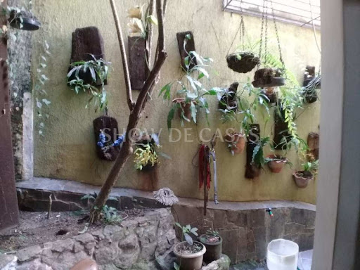 photos - 22