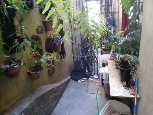 photos - 23