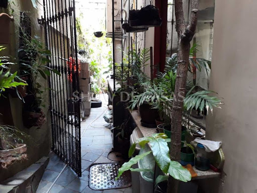 photos - 26