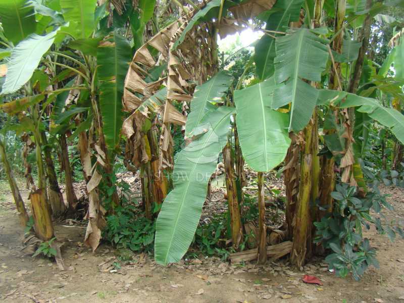 WhatsApp Image 2026-01-23 at 1 - 16