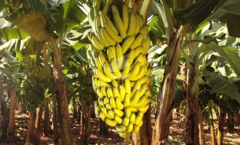 Captura de tela 2026-03-06 173 - 4