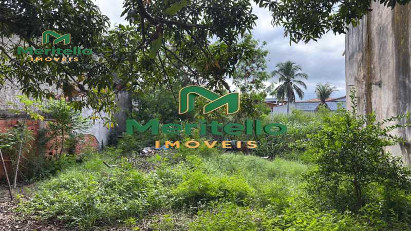 WhatsApp Image 2026-02-06 at 1 - 8