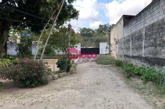 FOTO_8 - 8