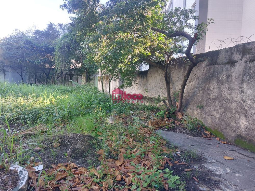 FOTO_5 - 5