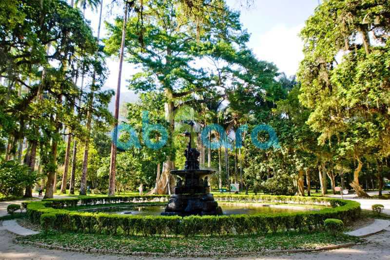 jardim-botanico - 23