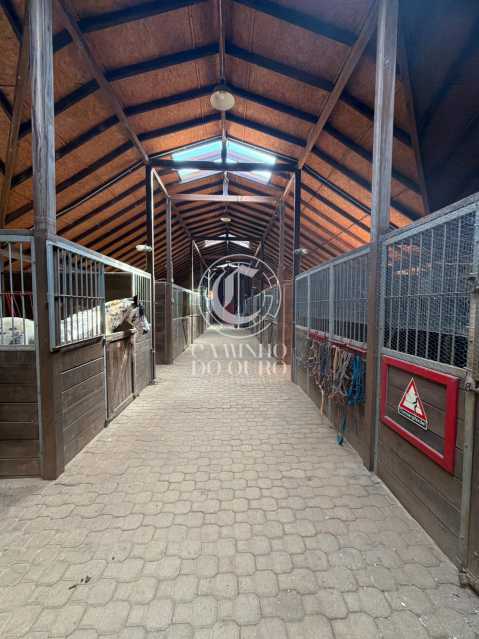 Conheça 26 do imóvel - Fazenda 400000m² à venda Membeca, Paraíba do Sul - R$ 25.000.000 - CMFA80001 - 26 26 - 26