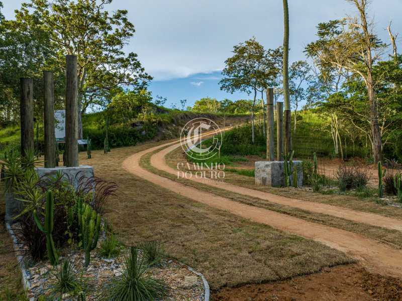 Conheça 15 do imóvel - Lote à venda Sebollas, Paraíba do Sul - R$ 462.000 - CMLT00085 - 15 15 - 15