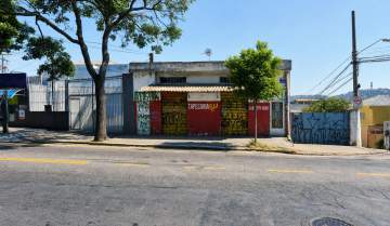 Foto01 - 1