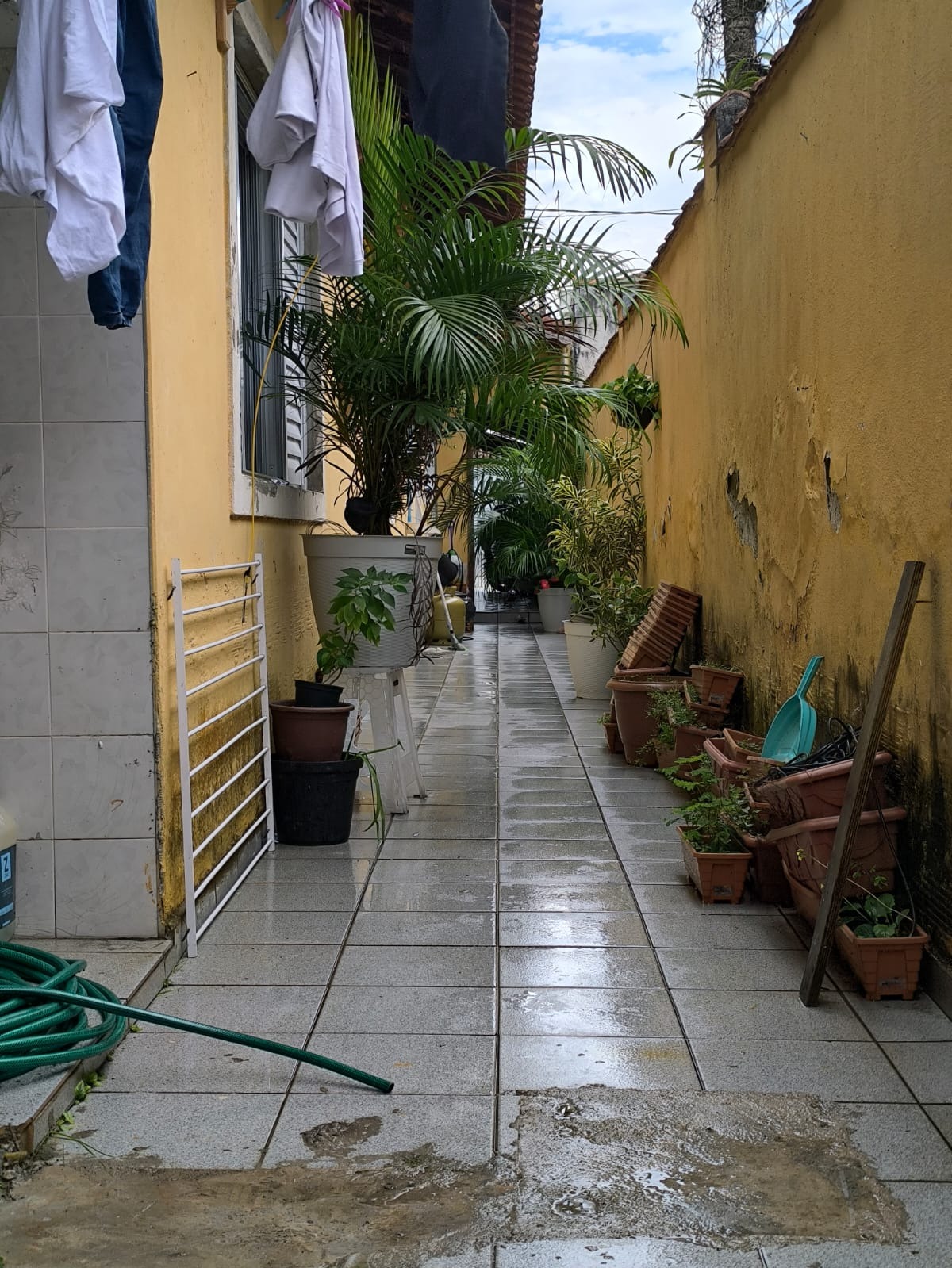 Foto 24 - 24
