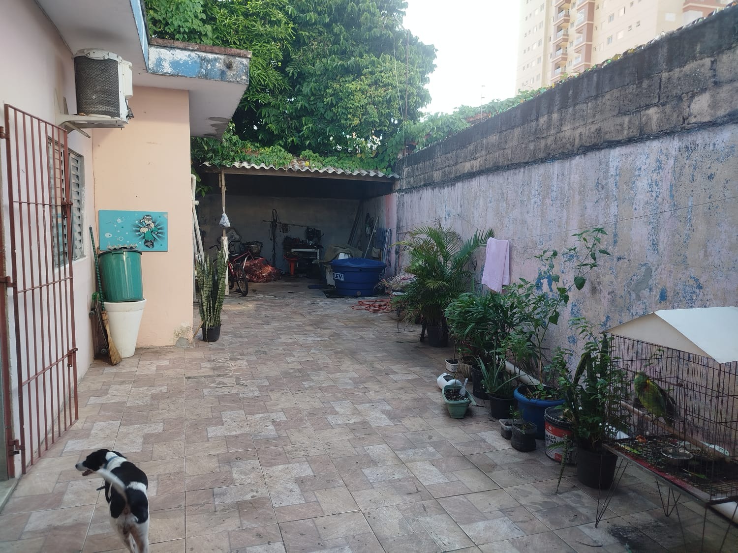 Foto 12 - 12