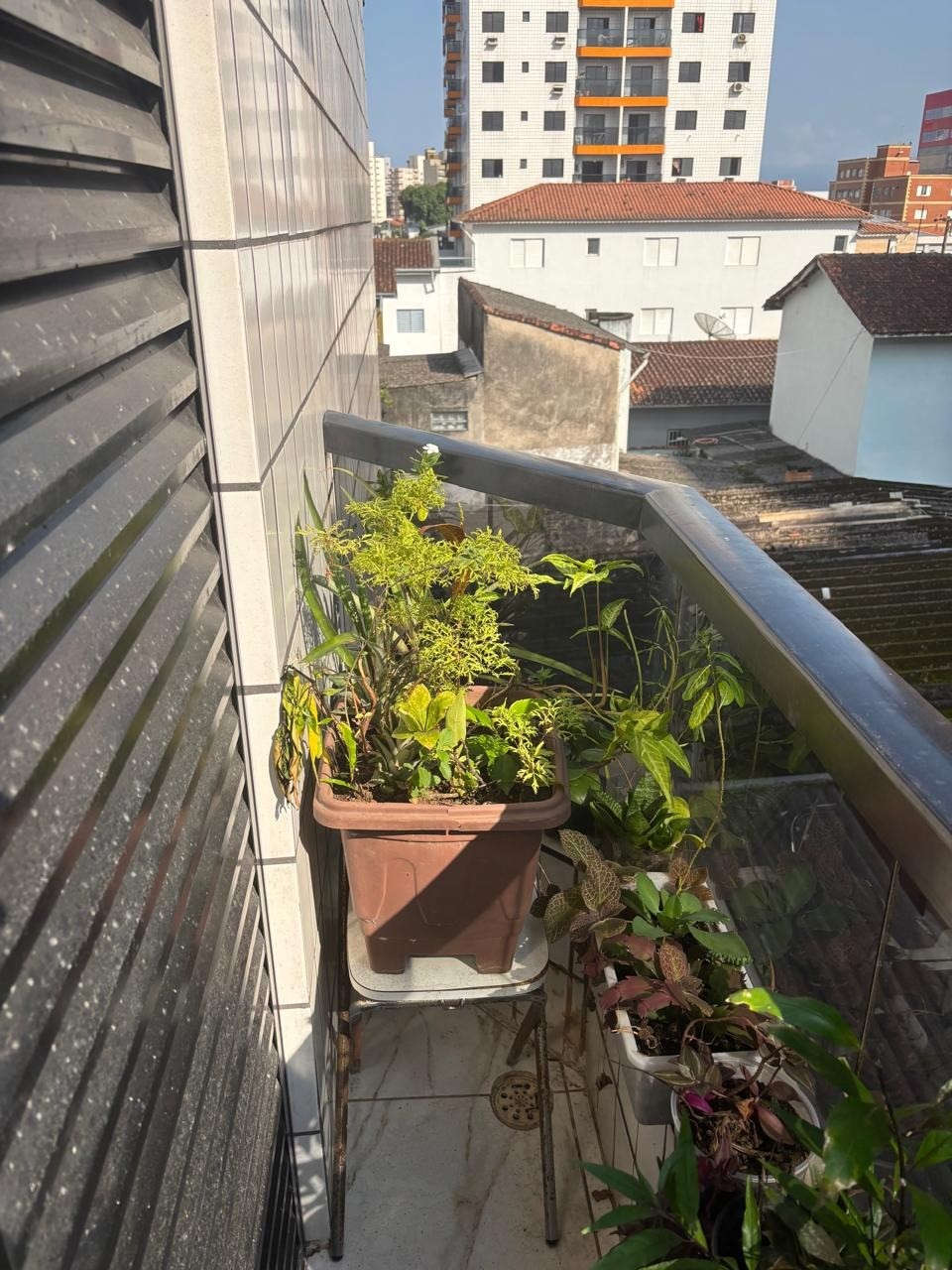 Foto 32 - 38