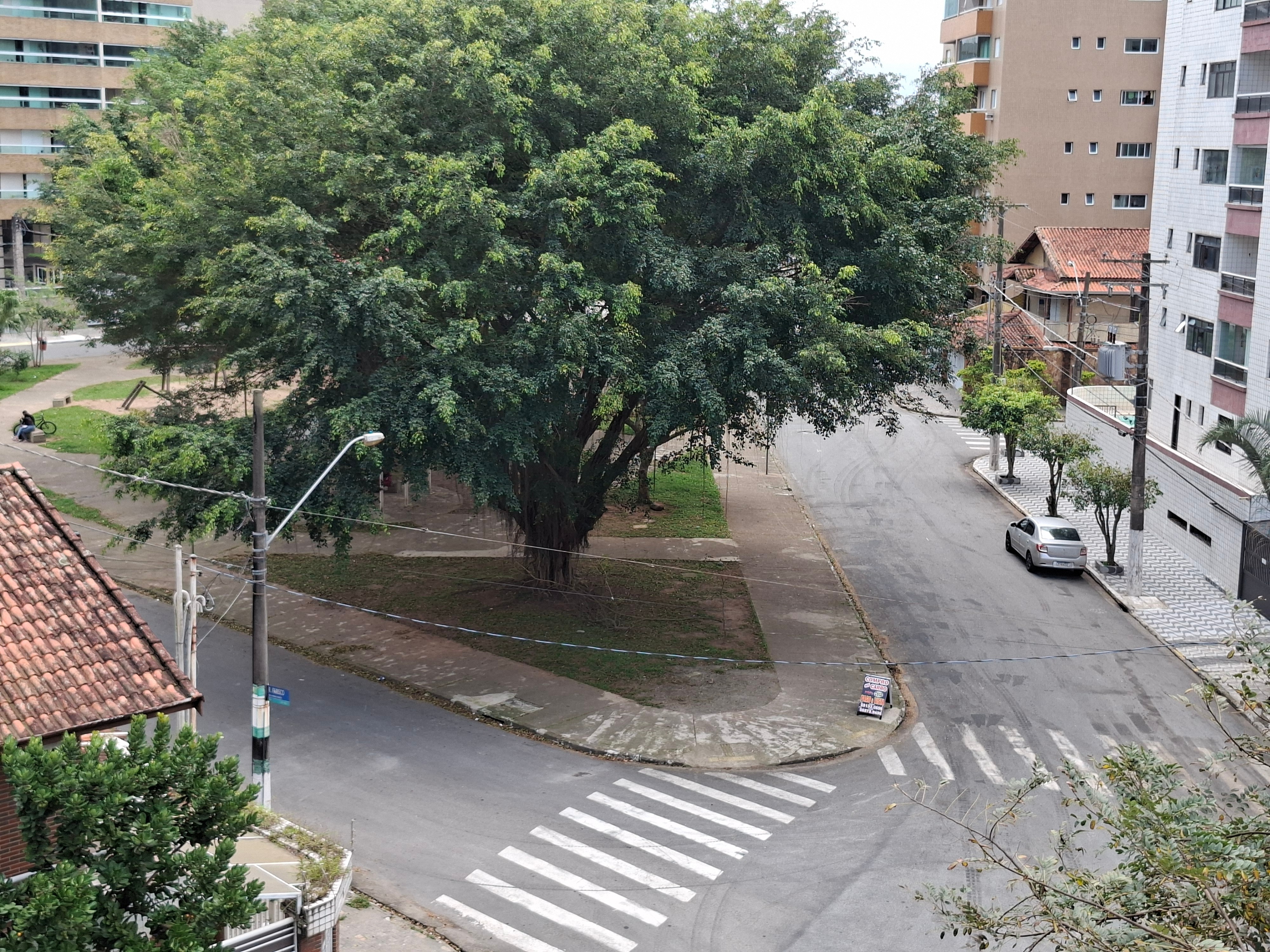 Foto 06 - 7