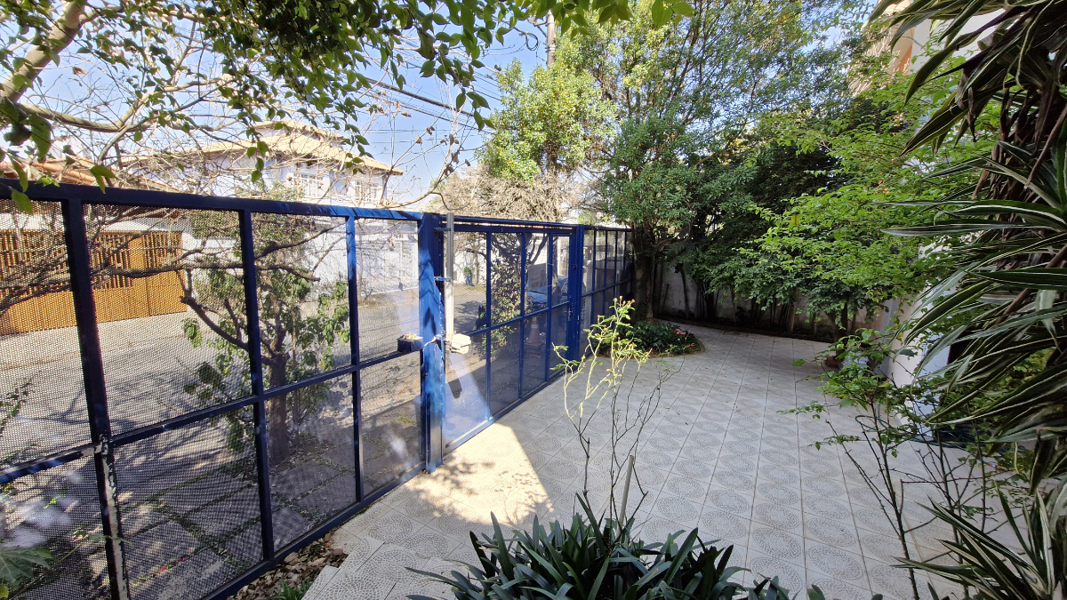 img02 - 2