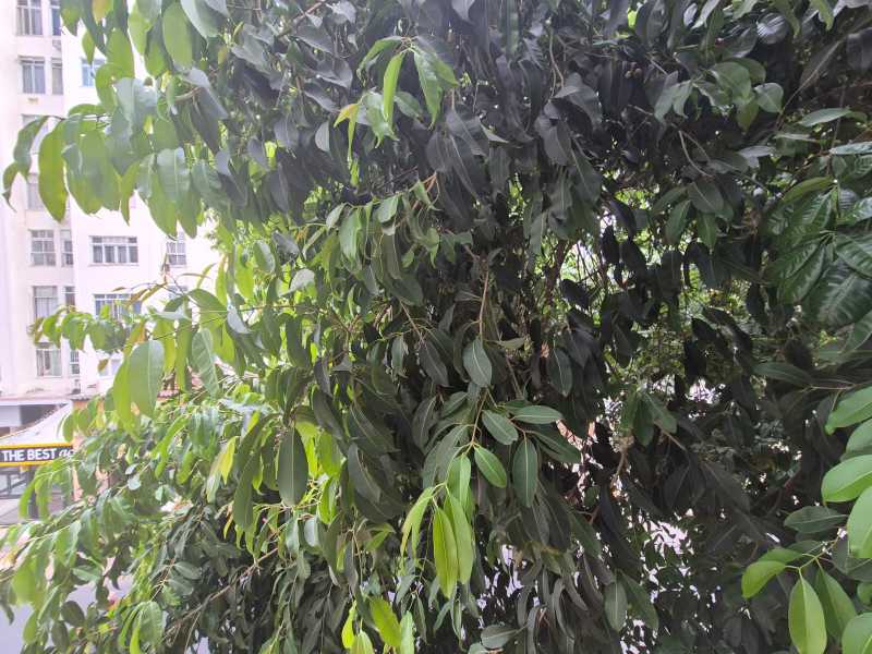 IMG-20260119-WA0146 - 16