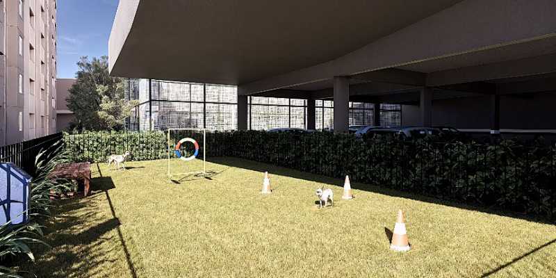 PETPLACE NAPOLES . - 6