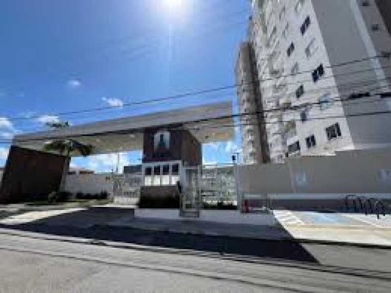 images 2. - 1