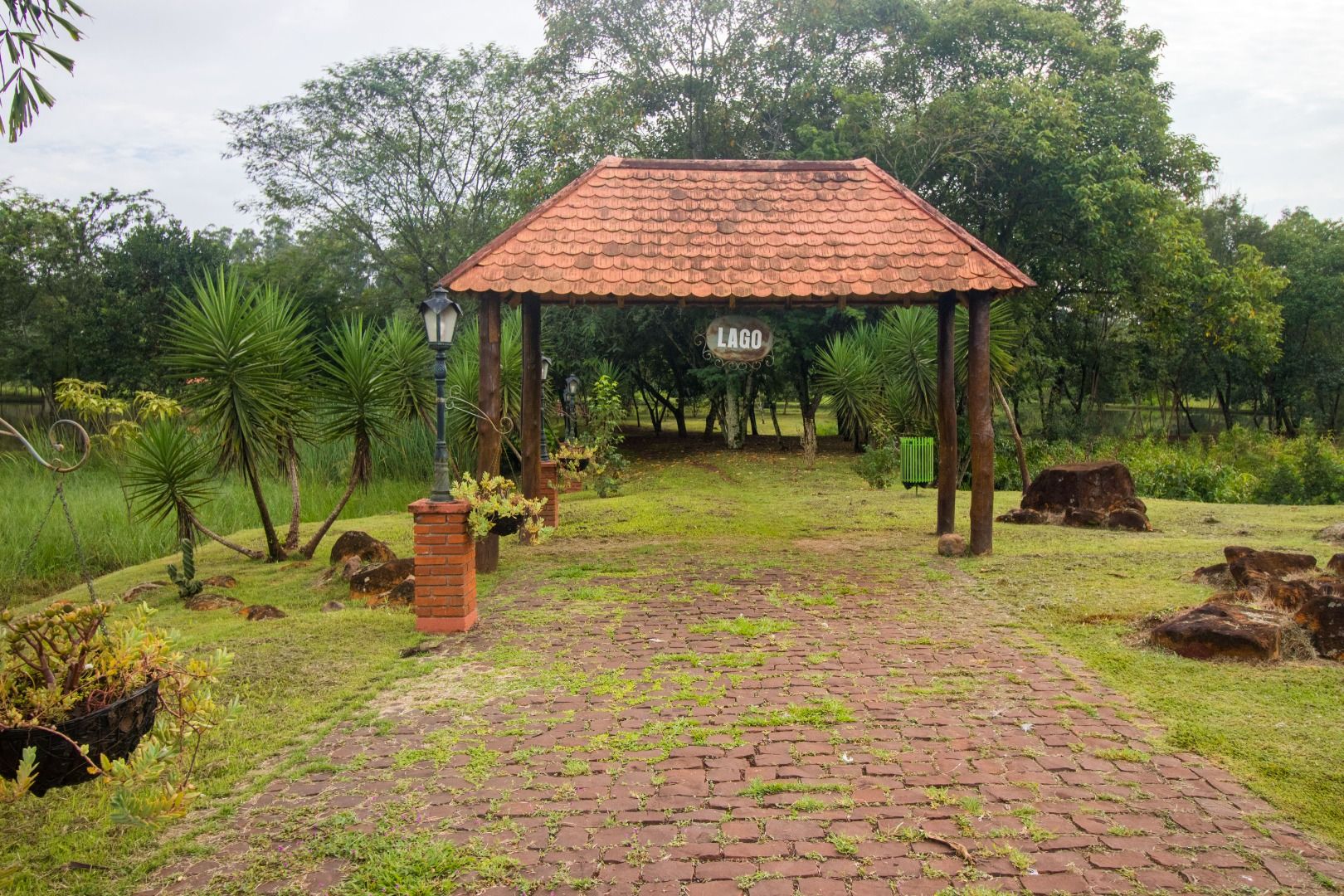 FOTO_6 - 6