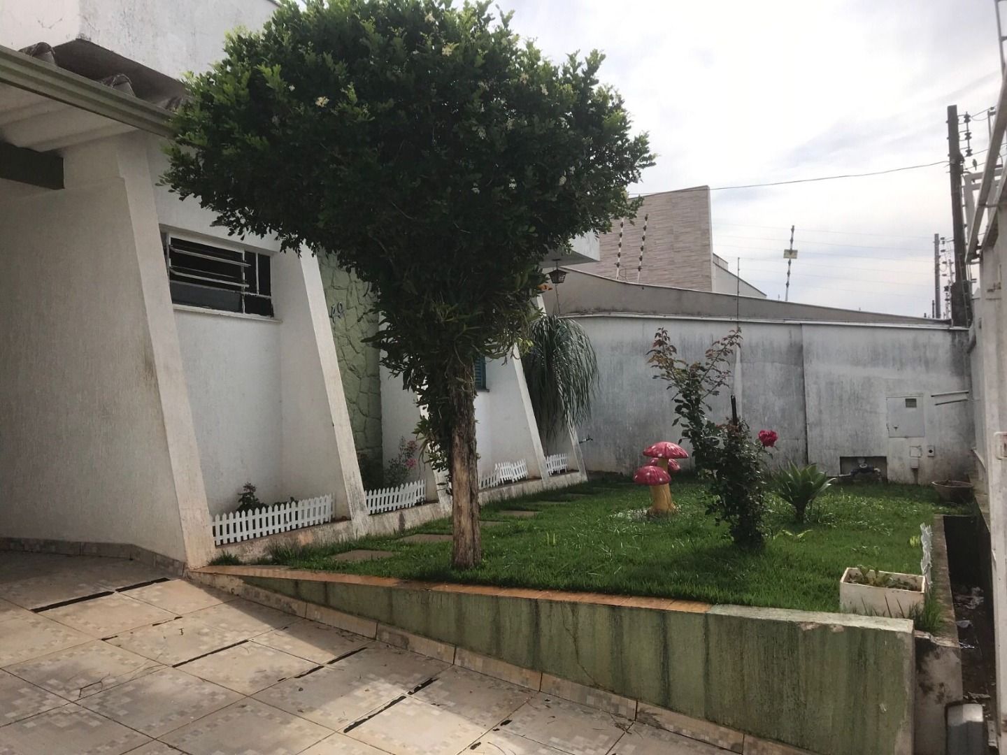 FOTO_1 - 1