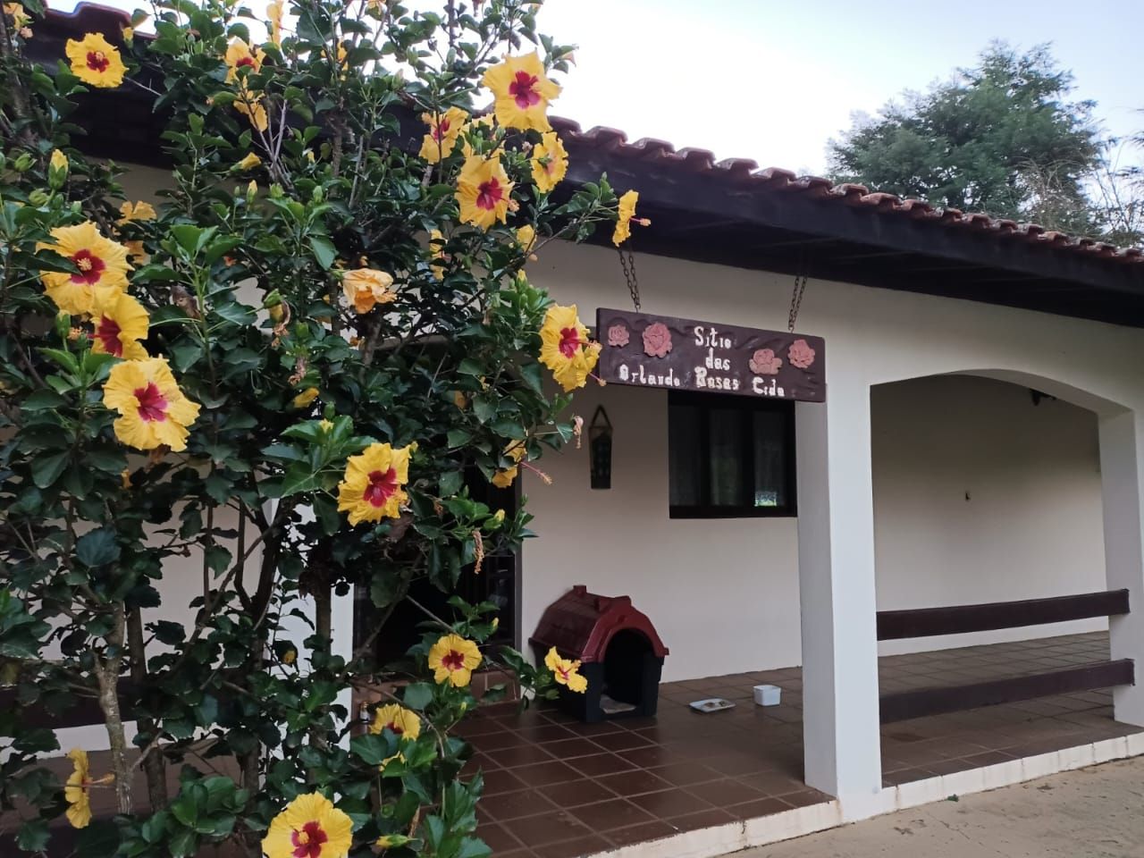 FOTO_3 - 3