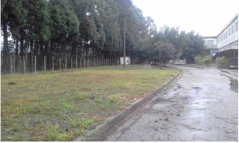 WhatsApp Image 2026-06-08 at 1 - 7