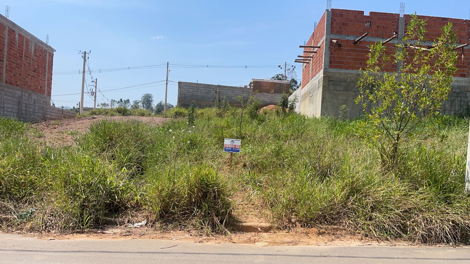 FOTO_1 - 1