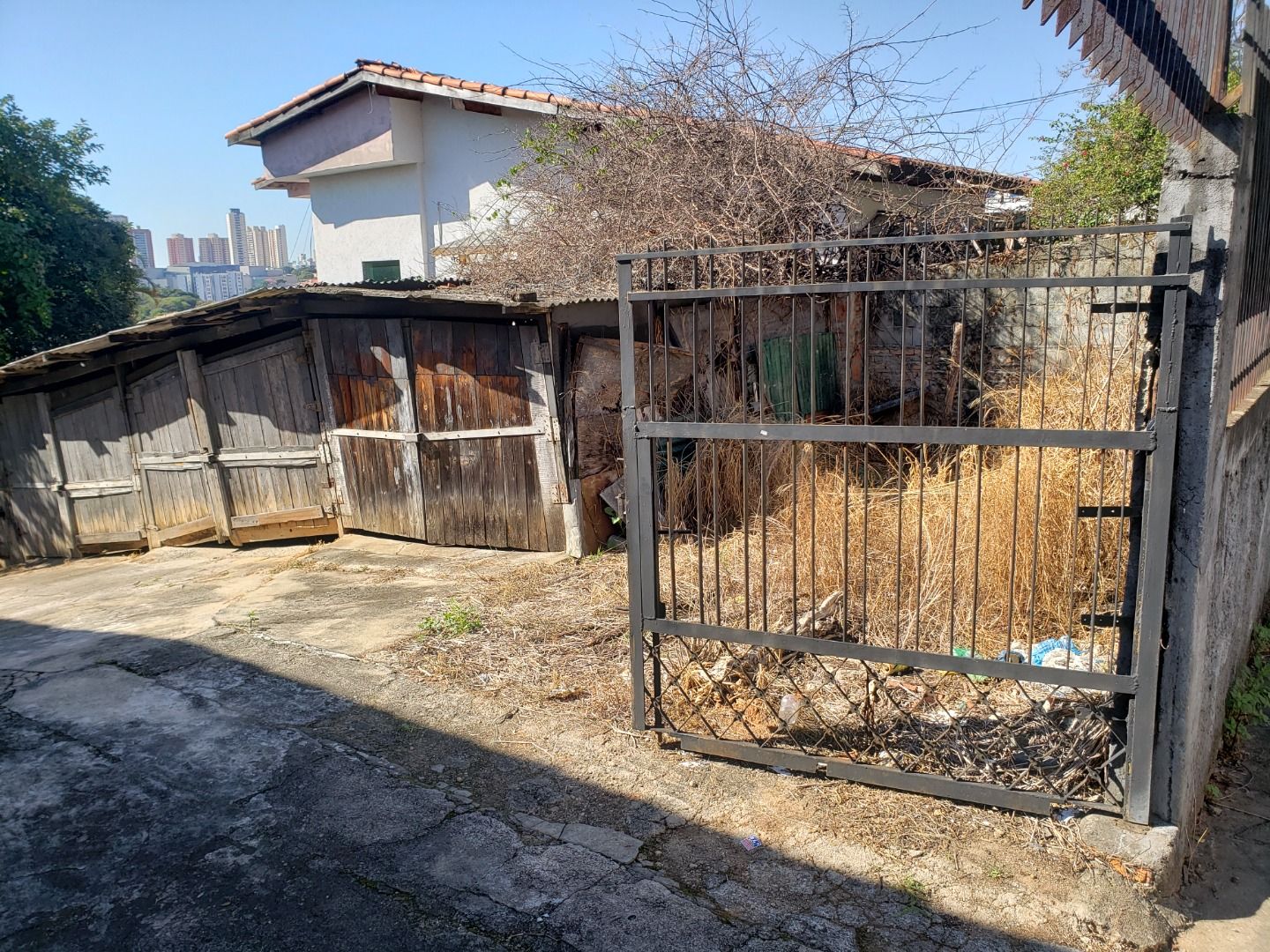 FOTO_3 - 3