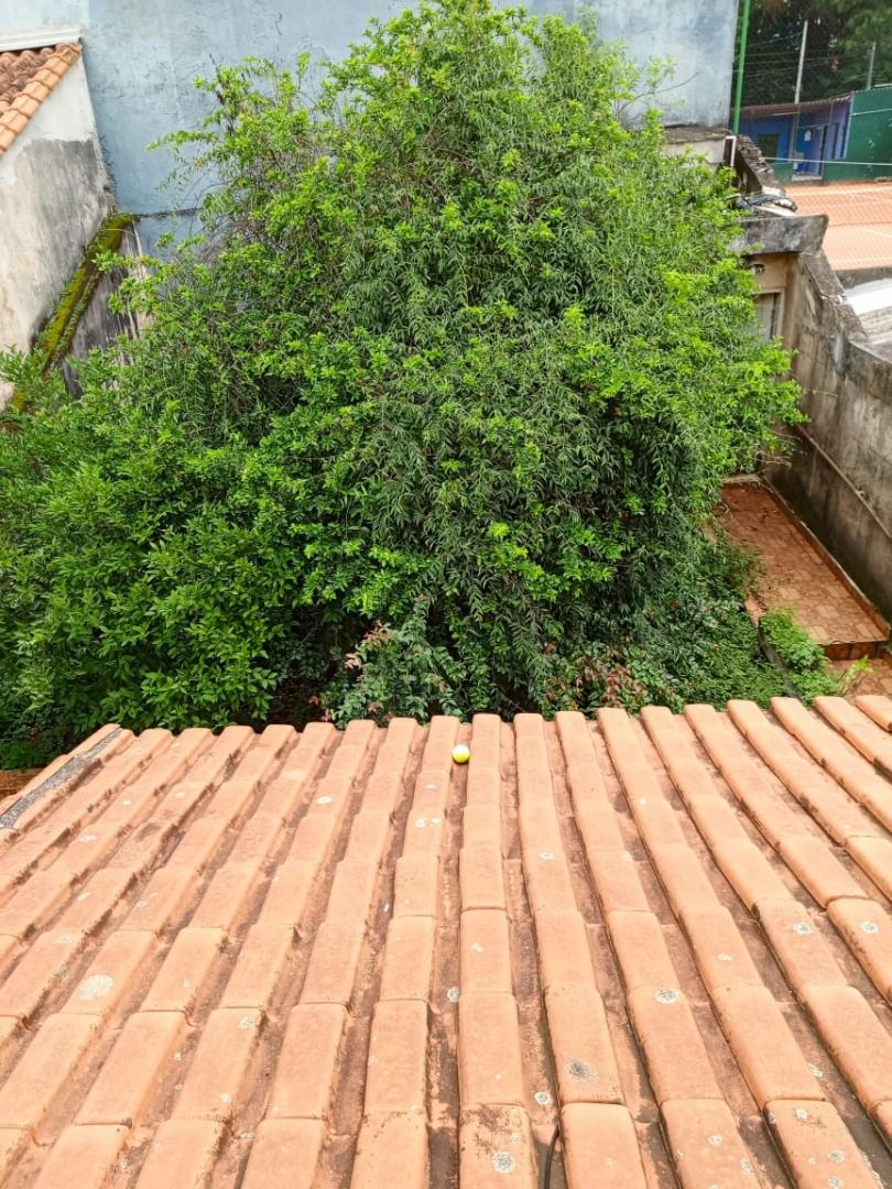 FOTO_4 - 4