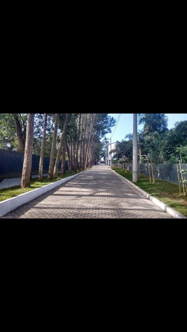 FOTO_17 - 17