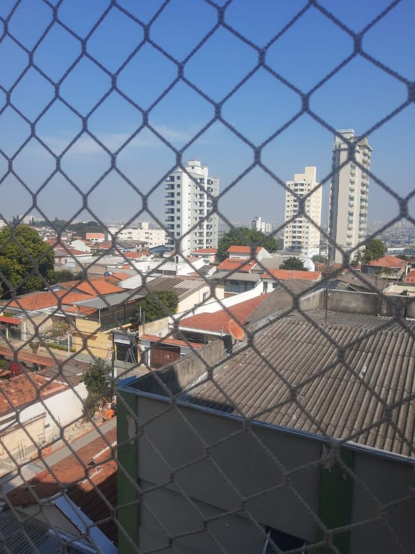 FOTO_13 - 13