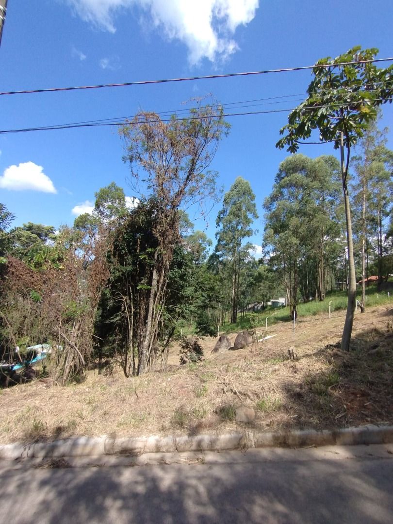 FOTO_1 - 1