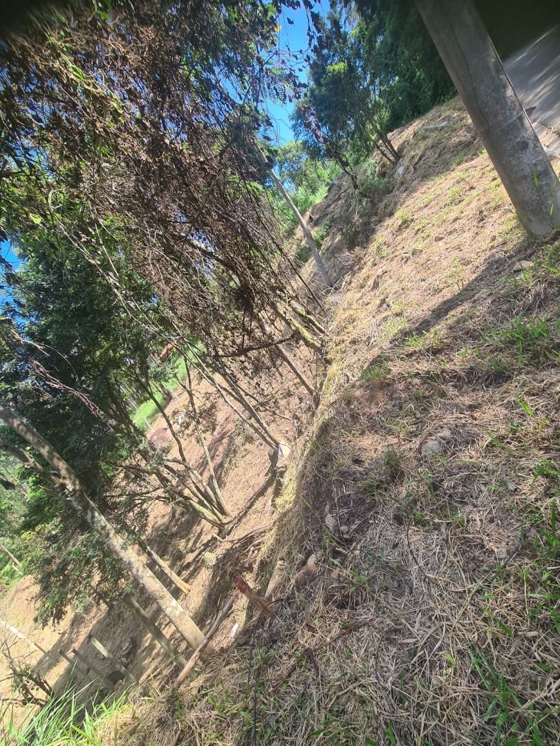 FOTO_4 - 4