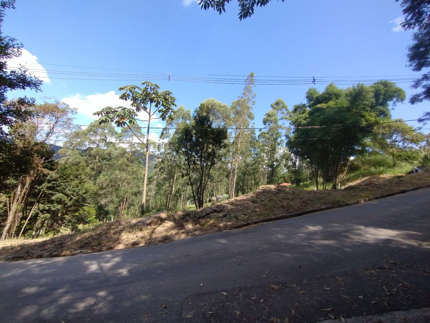 FOTO_6 - 6