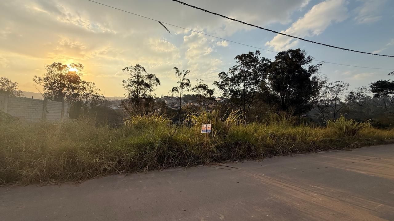 FOTO_6 - 6