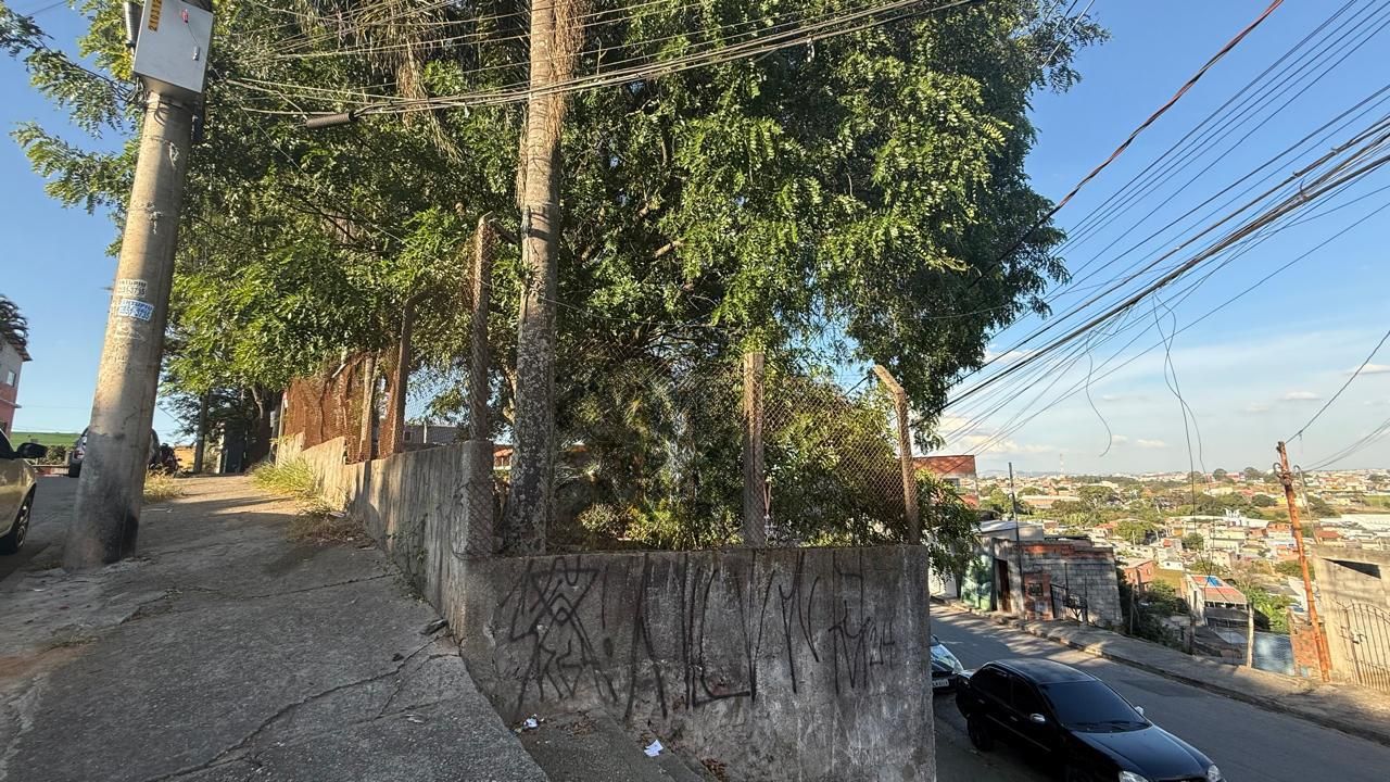 FOTO_11 - 11