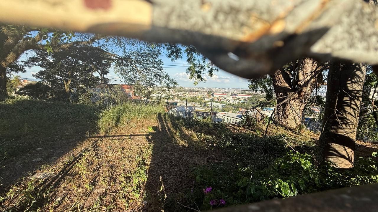 FOTO_6 - 6