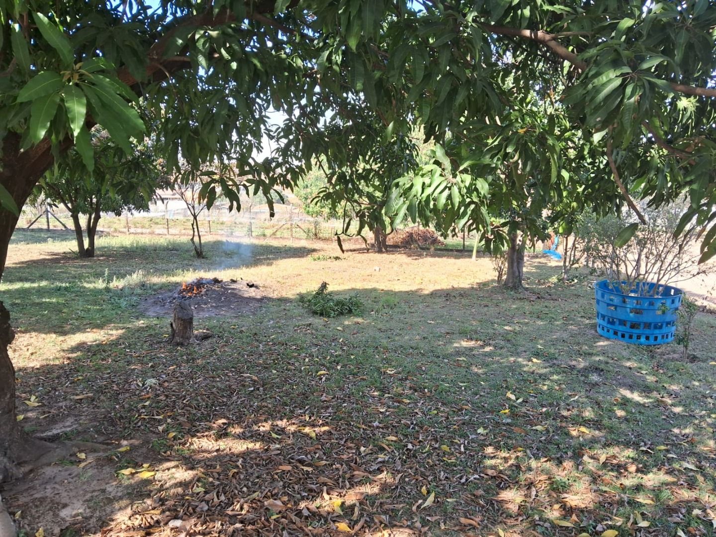 FOTO_22 - 22