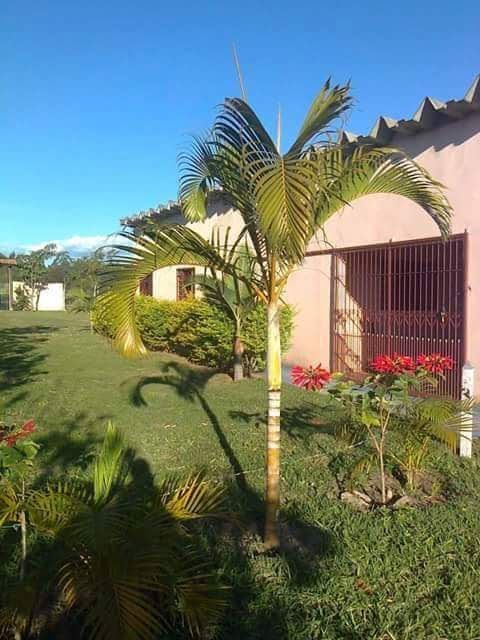 FOTO_31 - 31