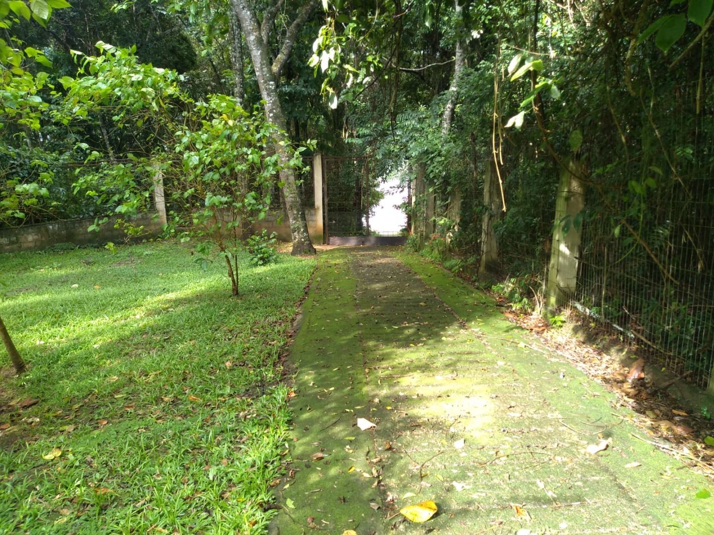 FOTO_9 - 9