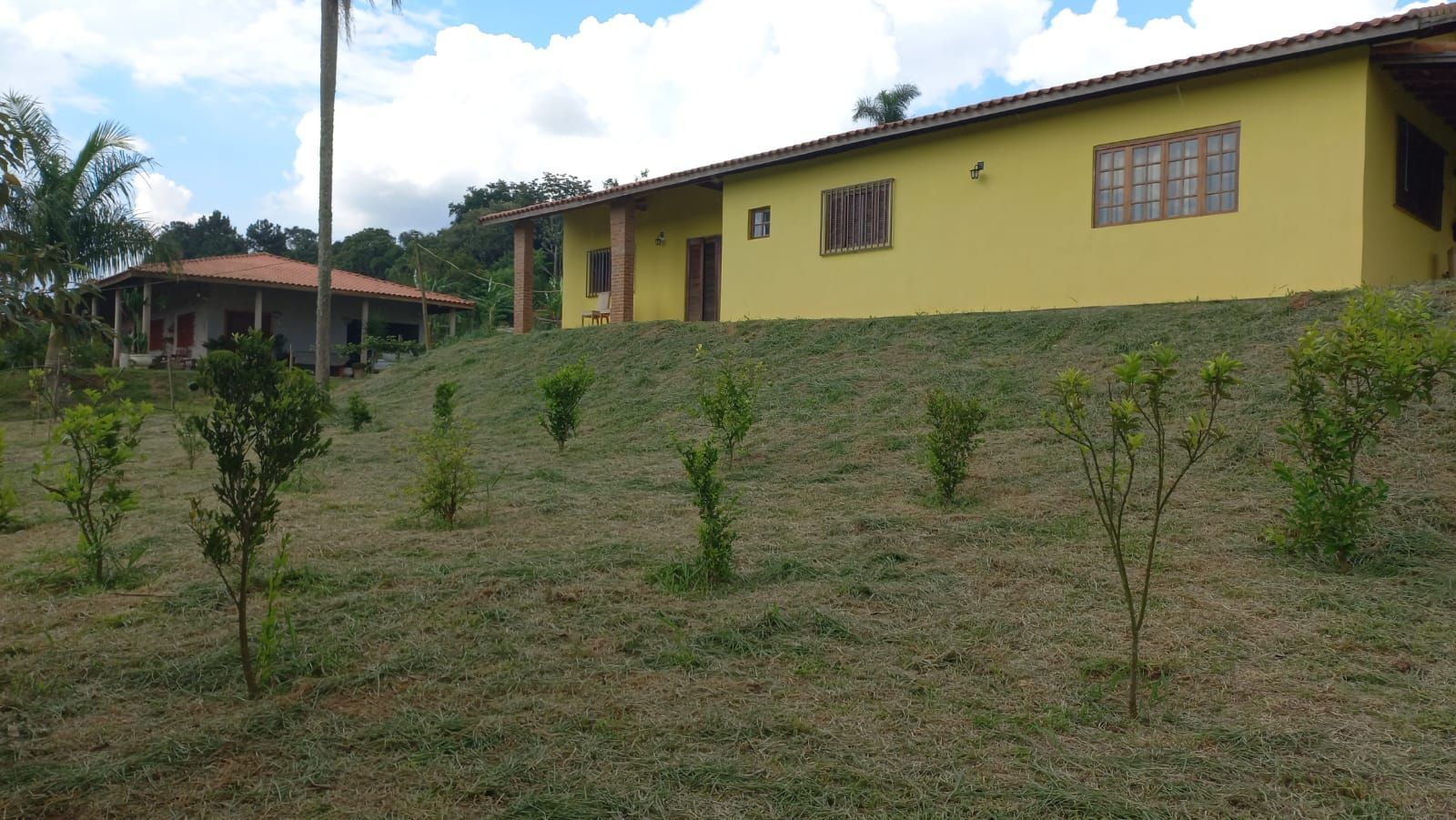 FOTO_1 - 1