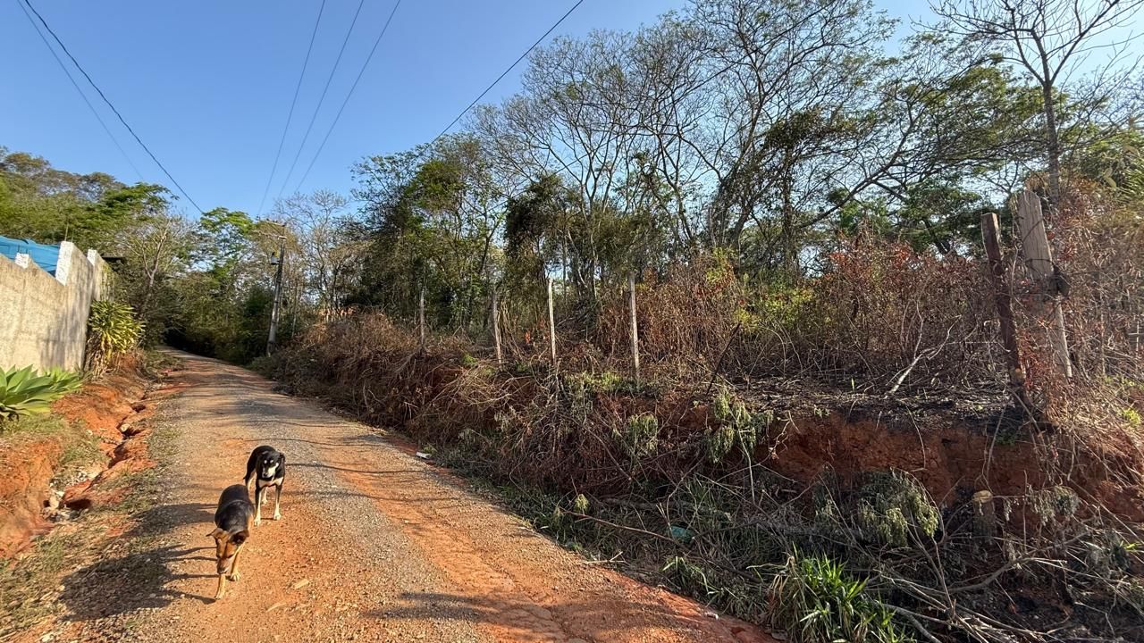 FOTO_10 - 10
