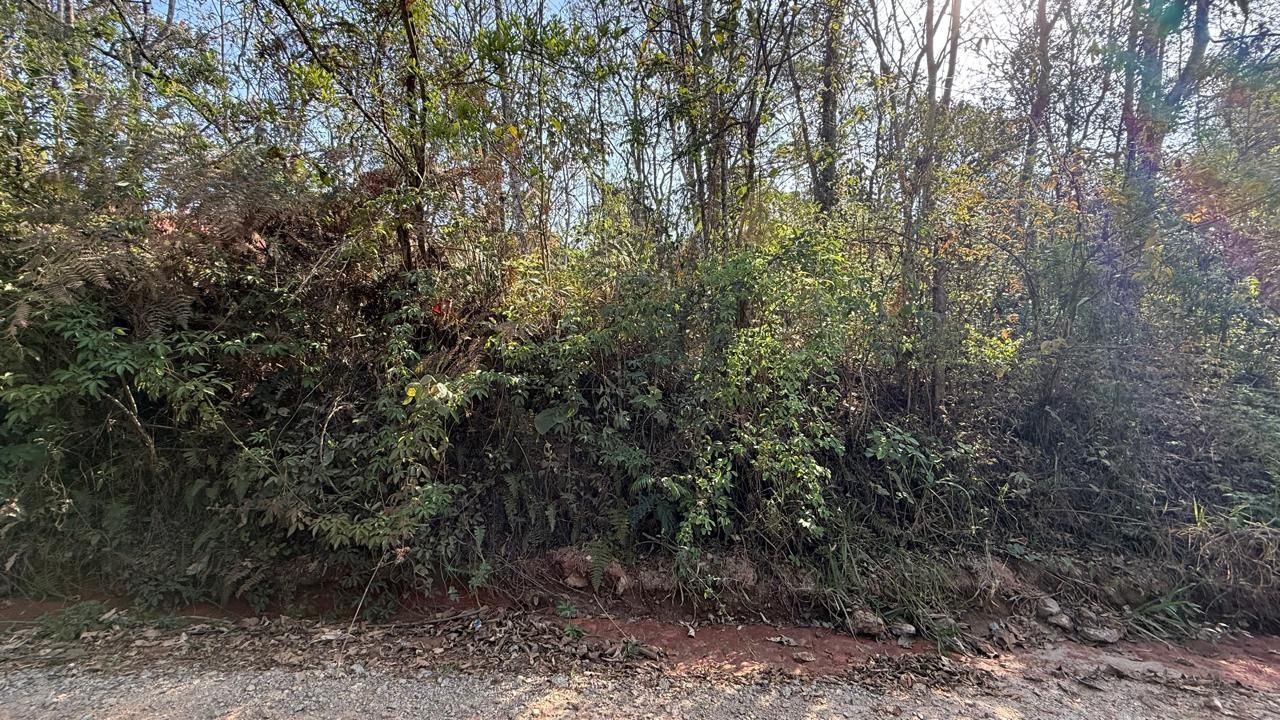 FOTO_2 - 2