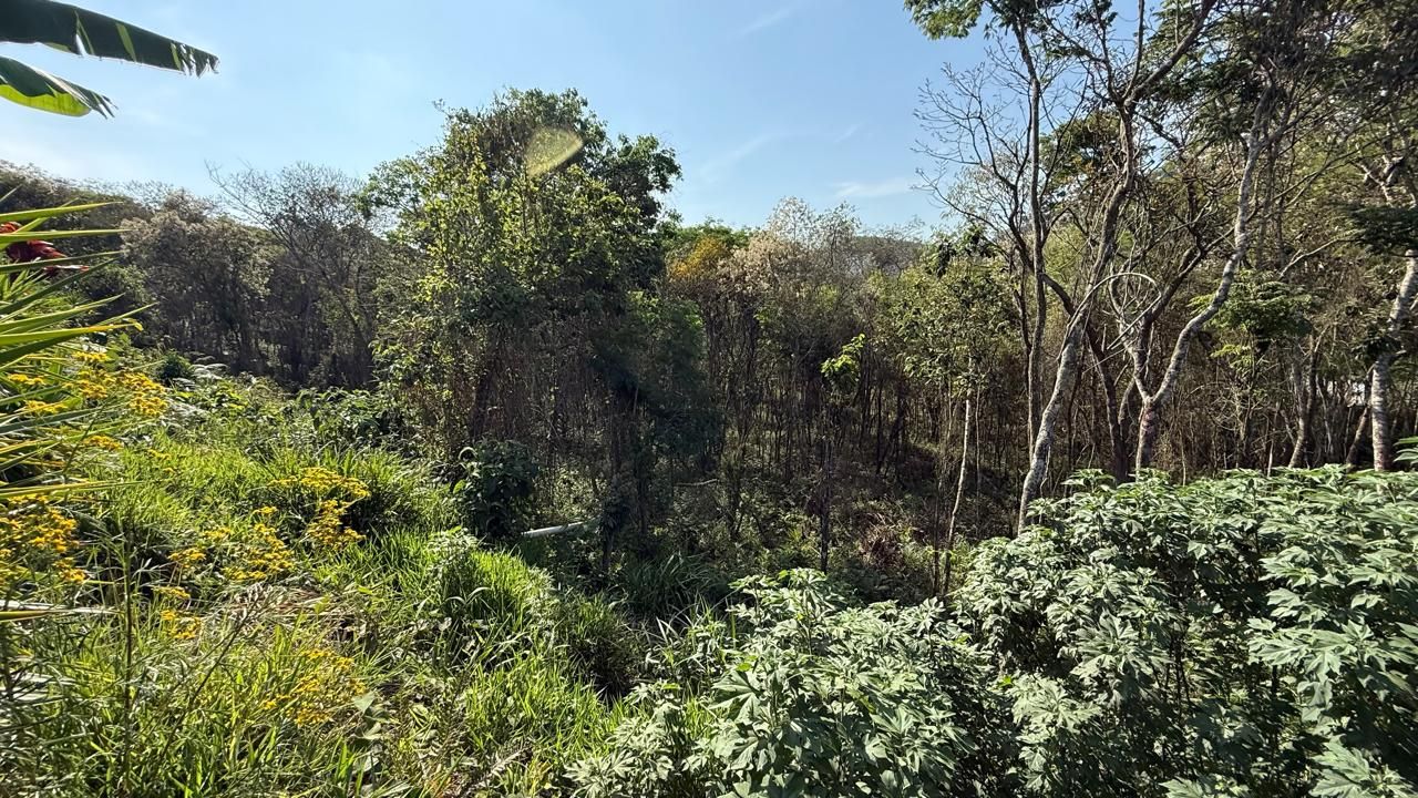 FOTO_10 - 10
