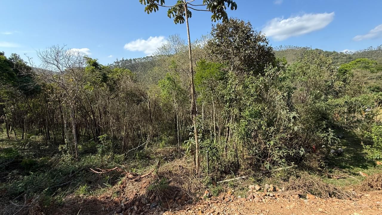 FOTO_11 - 11