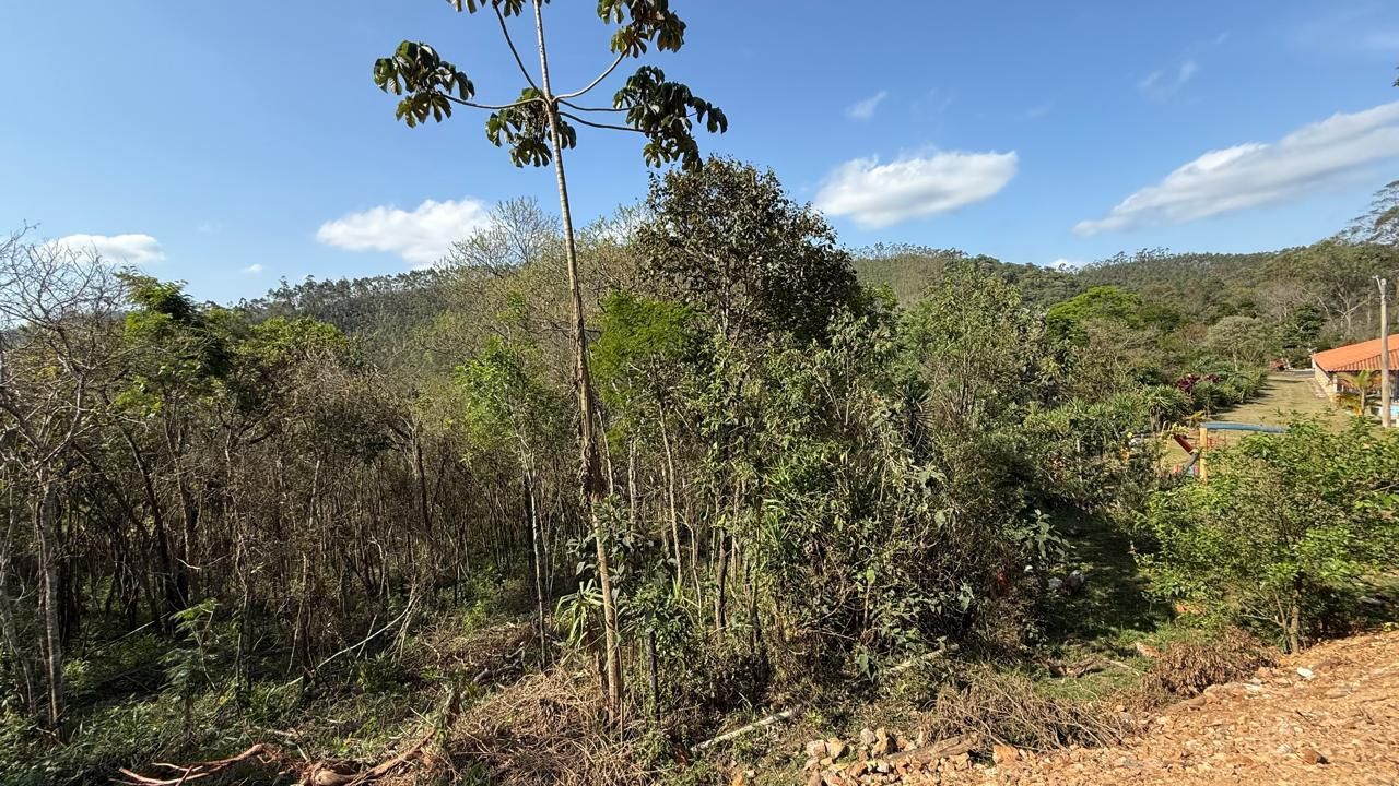 FOTO_12 - 12