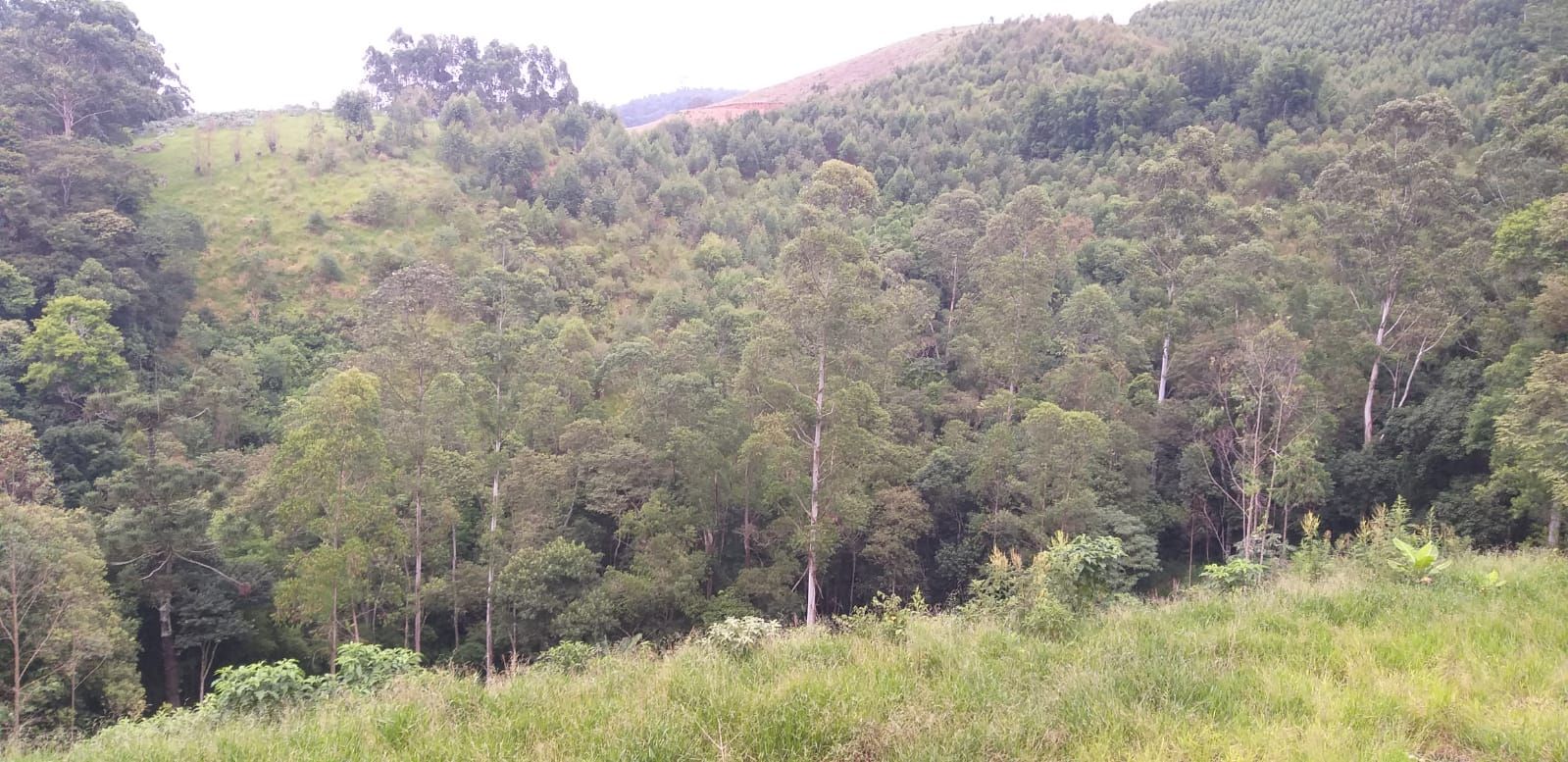 FOTO_15 - 15