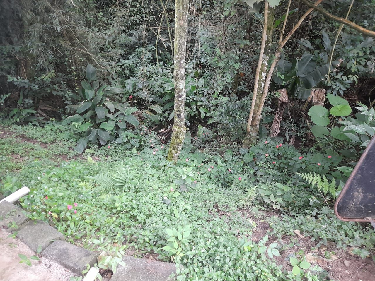 FOTO_5 - 5